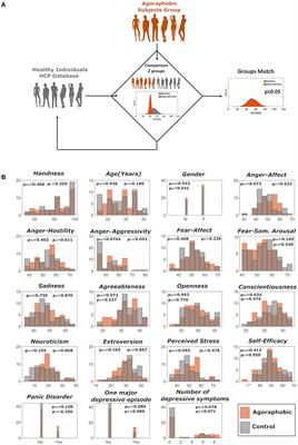Lower Functional Connectivity in Vestibular-Limbic Networks in Individuals With Subclinical Agoraphobia